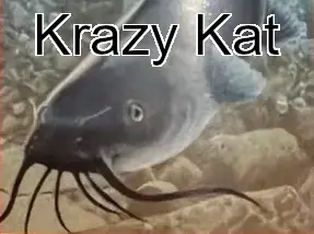 Krazy_Kat brand image