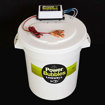 Livewell category image