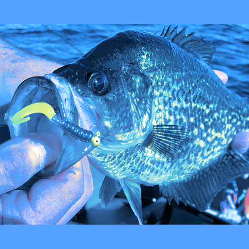 Crappie Baits category image